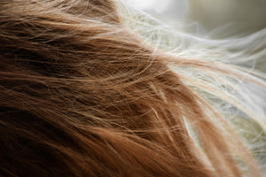 Thin hair? We have the solution!