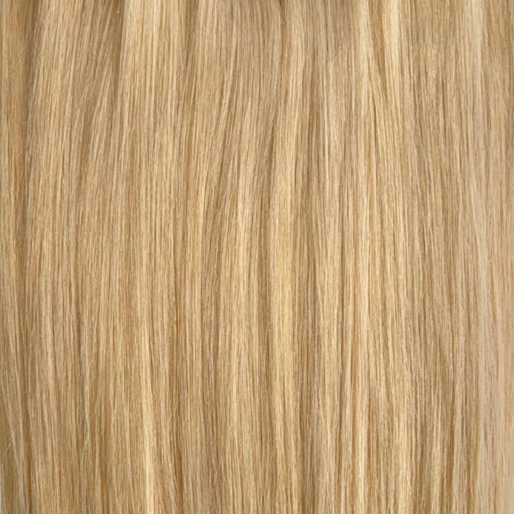 Absolute Blonde